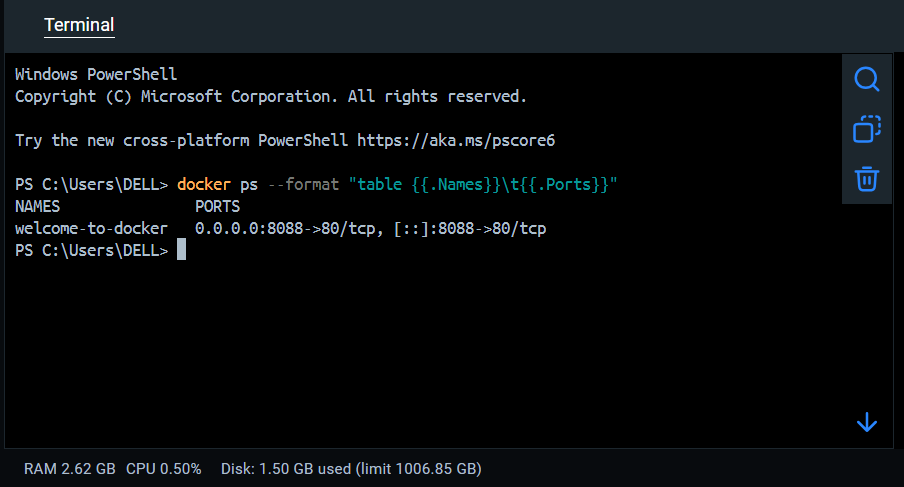 Docker Terminal Check Server